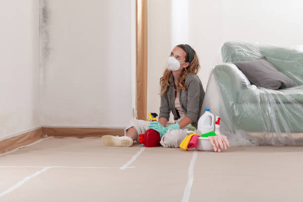 Reliable Mold Removal contractor in Suwanee, GA by WQB Mold Removal